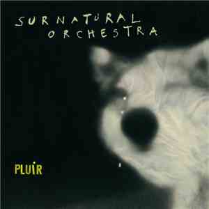 Surnatural Orchestra - Pluir