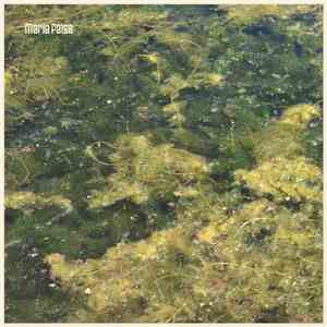 Maria False - When