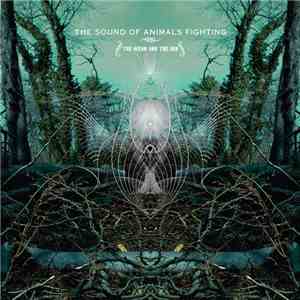 The Sound Of Animals Fighting - The Ocean And The Sun