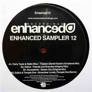 Various - Enhanced Sampler 12