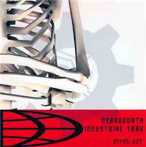 cyBerDeaTh - Industrial Year