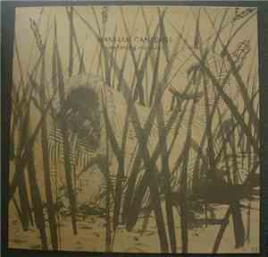 Martial Canterel - Confusing Outsides