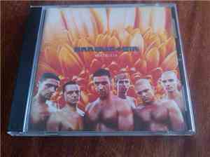Rammstein - Herzeleid