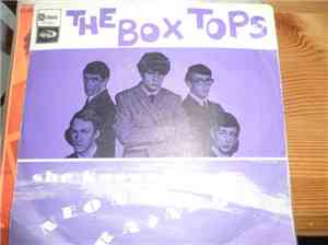 The Box Tops - Neon Rainbow