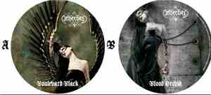 Netherbird - Boulevard Black / Black Orchid