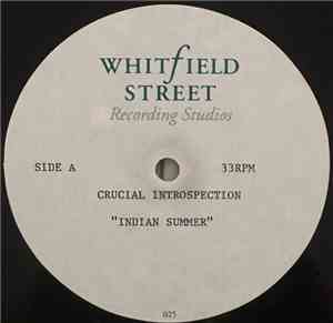 Scott Hardkiss Presents God Within - Crucial Introspection