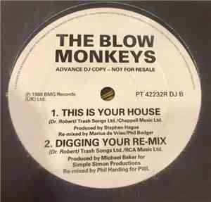 The Blow Monkeys - It Pays To Be Long