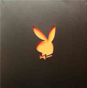Bob Sinclar & Dimitri From Paris - Knights Of The Playboy Mansion