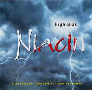 Niacin − Billy Sheehan • John Novello • Dennis Chambers - High Bias