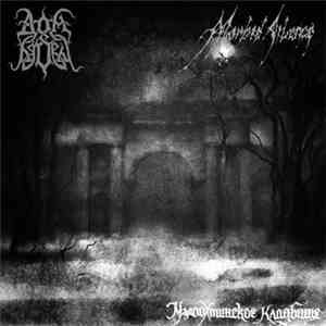 Дом Вдовы & Morbid Silence - Малоохтинское Кладбище
