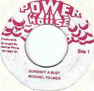 Michael Palmer - Gunshot A Bust