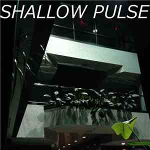 Shallow Pulse - Withering Away