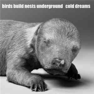 Birds Build Nests Underground - Cold Dreams