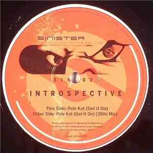 Introspective  - Pole Kat (Get It On)