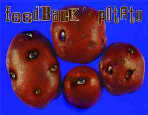 Monopolka - As The Feedback Potato