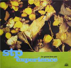STP Experience - I'm Gonna Love You