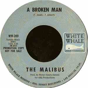 The Malibus  - A Broken Man