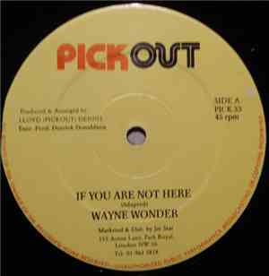Wayne Wonder / Foxy Brown  - If You Are Not Here / Love Is Where You Find I ...