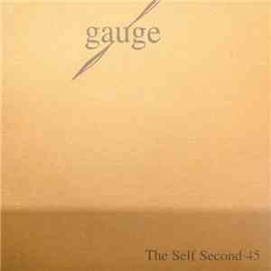 Gauge - The Self Second 45