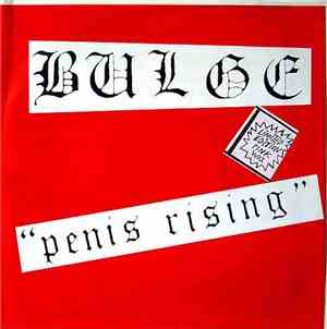 Bulge - Penis Rising