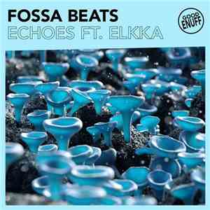 Fossa Beats Ft. Elkka - Echoes
