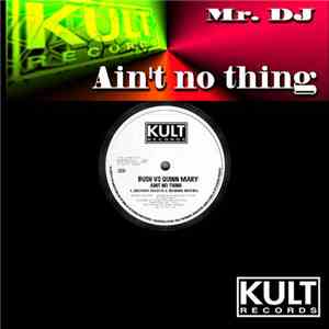 Mr. DJ  Feat. Bush & Quinn Mary - Ain't No Thing