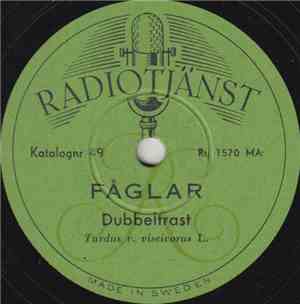No Artist - Fåglar