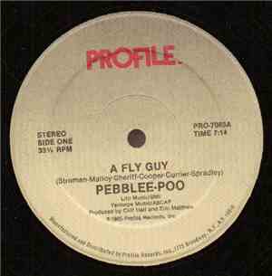 Pebblee-Poo - A Fly Guy