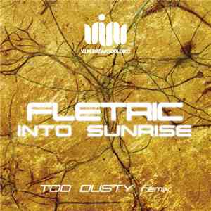 Fletric - Into Sunrise (Too Dusty Remix)