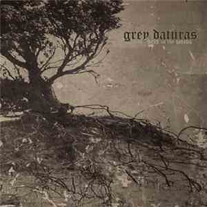 Grey Daturas - Dead In The Woods