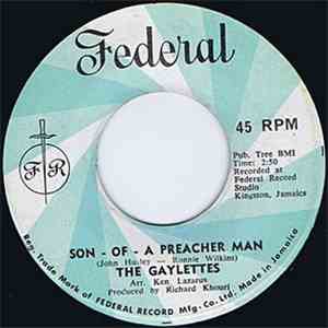 The Gaylettes - Son - Of - A Preacher Man / That's How Strong My Love Is