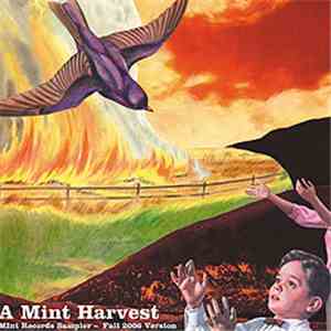 Various - A Mint Harvest: Mint Records Sampler - Fall 2006 Version