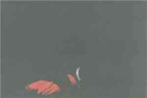 Polo  - Loner