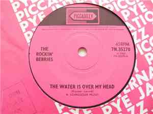 The Rockin' Berries - The Water Is Over My Head