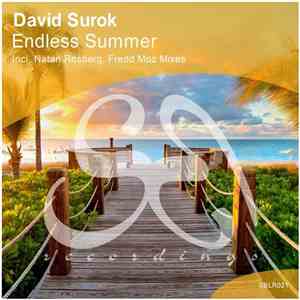 David Surok - Endless Summer