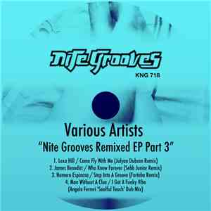Various - Nite Grooves Remixed EP Part 3