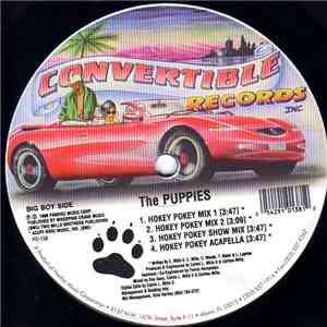 The Puppies - Hokey Pokey