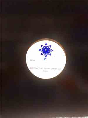 The Police / Sting - You Can't Go Wrong / Alien