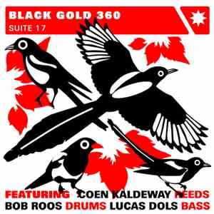 Black Gold 360 - Suite 17