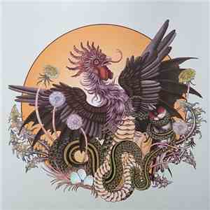 Brume  - Rooster