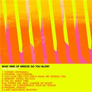 What Kind Of Breeze Do You Blow? - The Remixes