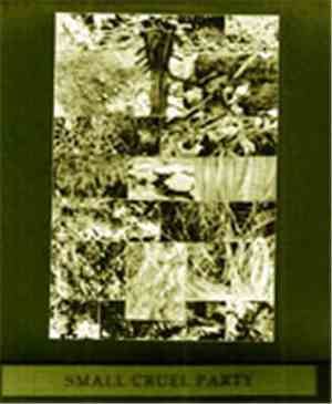 Small Cruel Party - Scalar Redoubt