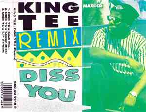King Tee - Diss You (Remix)