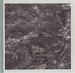 Owwl - Tree Speaks To Stone; Stone Speaks To Water