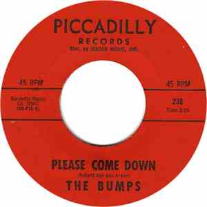 The Bumps  - Baby Blue / Please Come Down