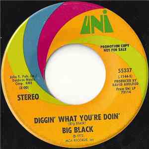 Big Black  - Diggin' What You're Doin' / Mellow