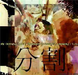 She Destroys Hope / Phantasm Nocturnes / Ataraxy / To-Bo - 分割
