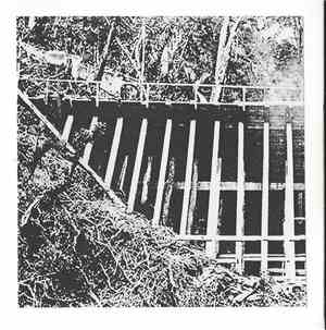 Tim Coster - Sleeping Trees