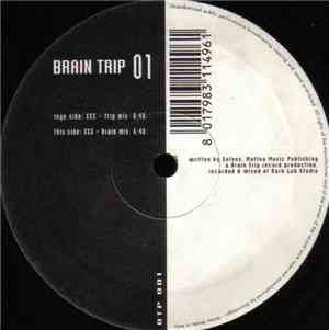 Zelvox - Brain Trip 01