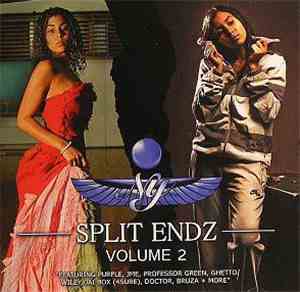 NY - Split Endz Volume 2